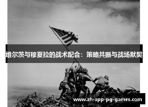 维尔茨与穆夏拉的战术配合：策略共振与战场默契