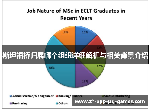 斯坦福桥归属哪个组织详细解析与相关背景介绍