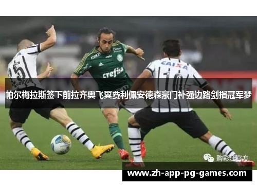 帕尔梅拉斯签下前拉齐奥飞翼费利佩安德森豪门补强边路剑指冠军梦