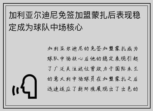 加利亚尔迪尼免签加盟蒙扎后表现稳定成为球队中场核心